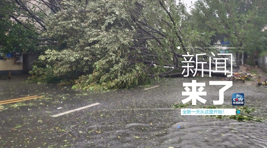 “山竹”怒過，高空塔吊你還好嗎？